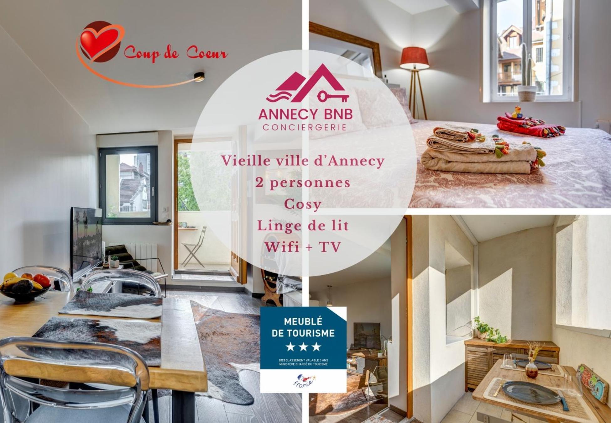 Appartamento Le Pura Vida, Hyper Centre Terrasse + Parking Annecy Esterno foto
